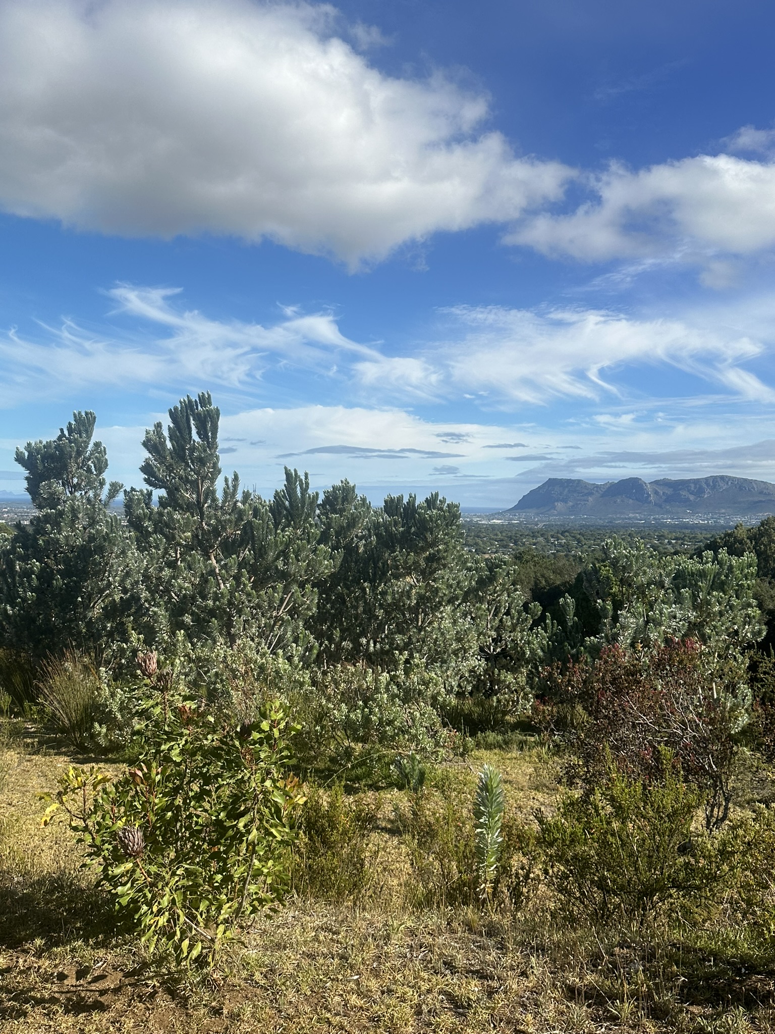 South Africa - Image 599